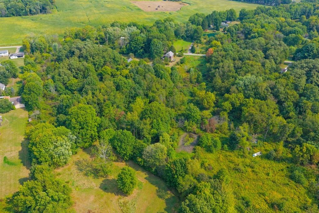 828 Brownhome Road New Castle, PA 16101 - Photo 38 of 47 a view of a garden