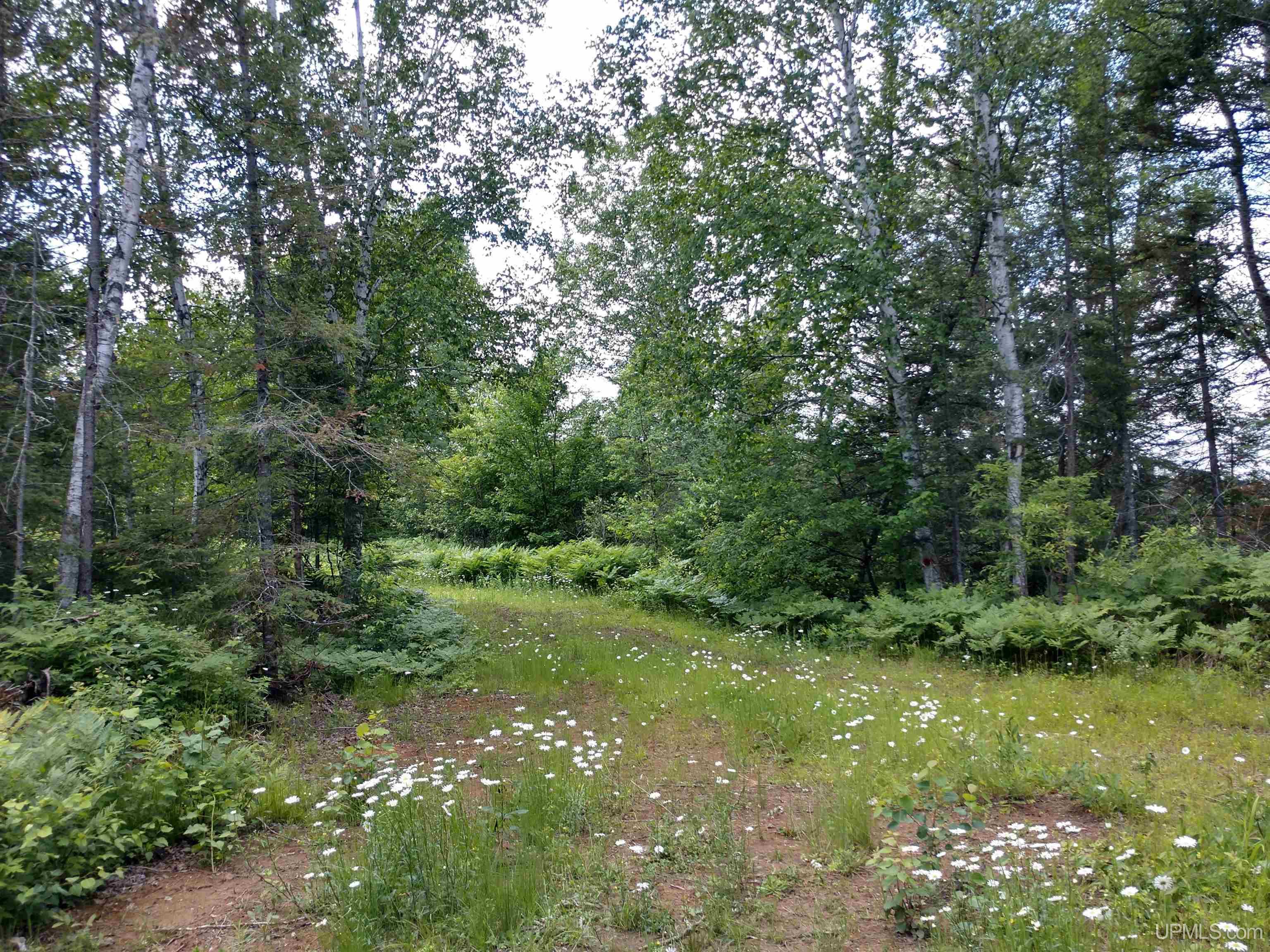 601 County Road 601 Road Republic, MI 49879 - Photo 41 of 60
