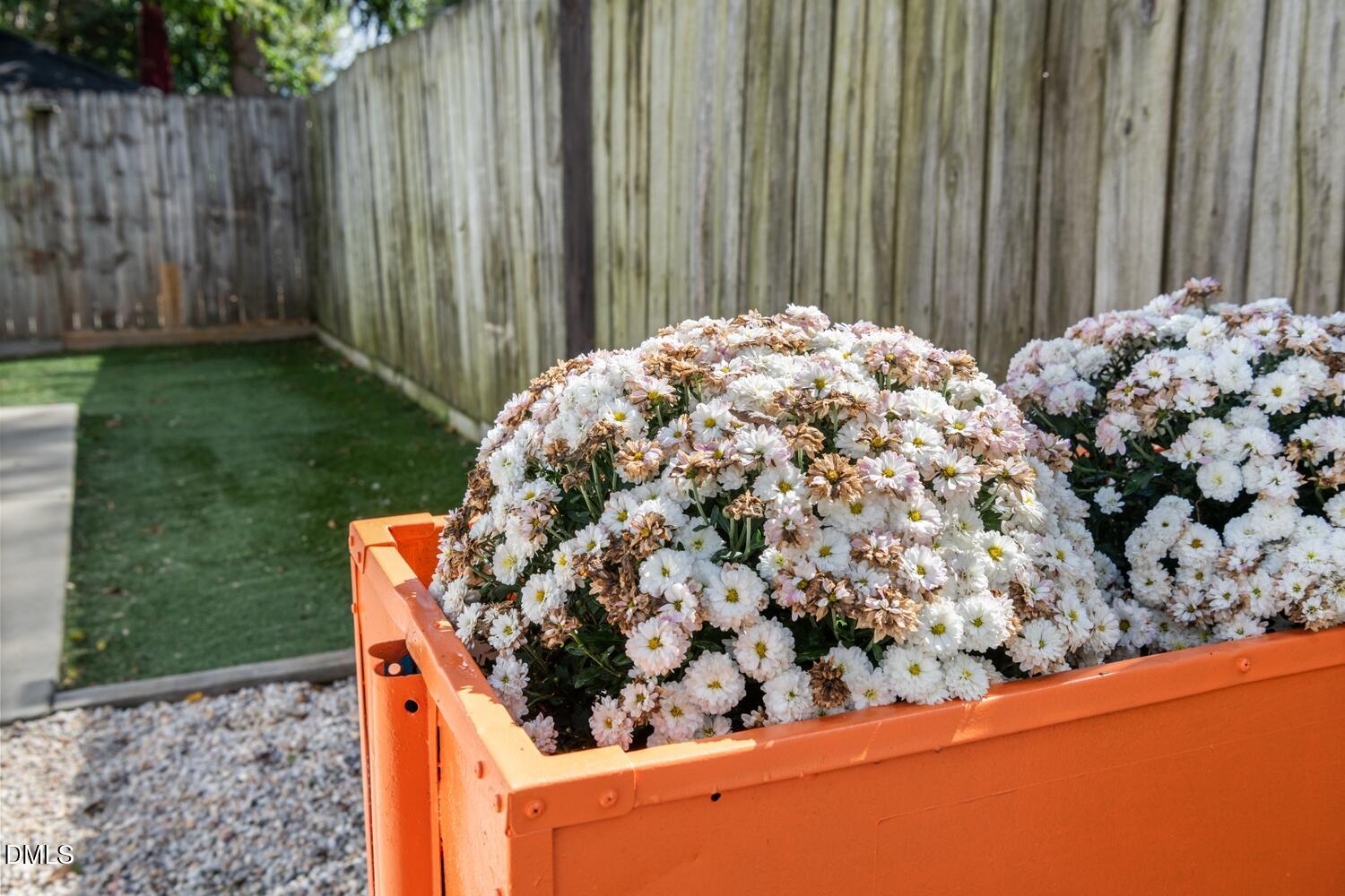 410 Bledsoe Avenue Raleigh, NC 27601 - Photo 27 of 37 Planter