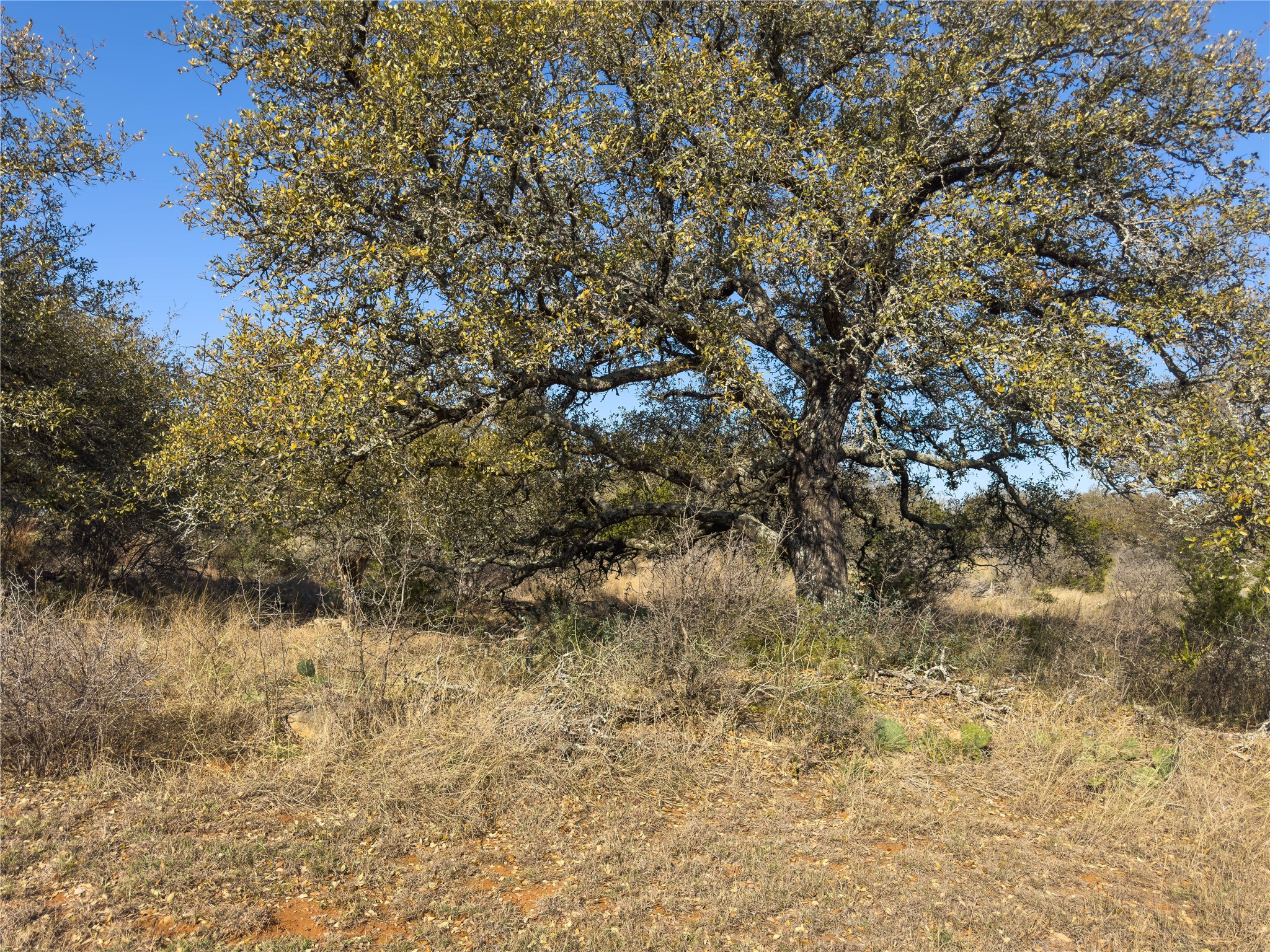 Lot 20 Comanche Ridge Round Mountain, TX 78663 - Photo 27 of 34 LOT 20 STREET LEVEL