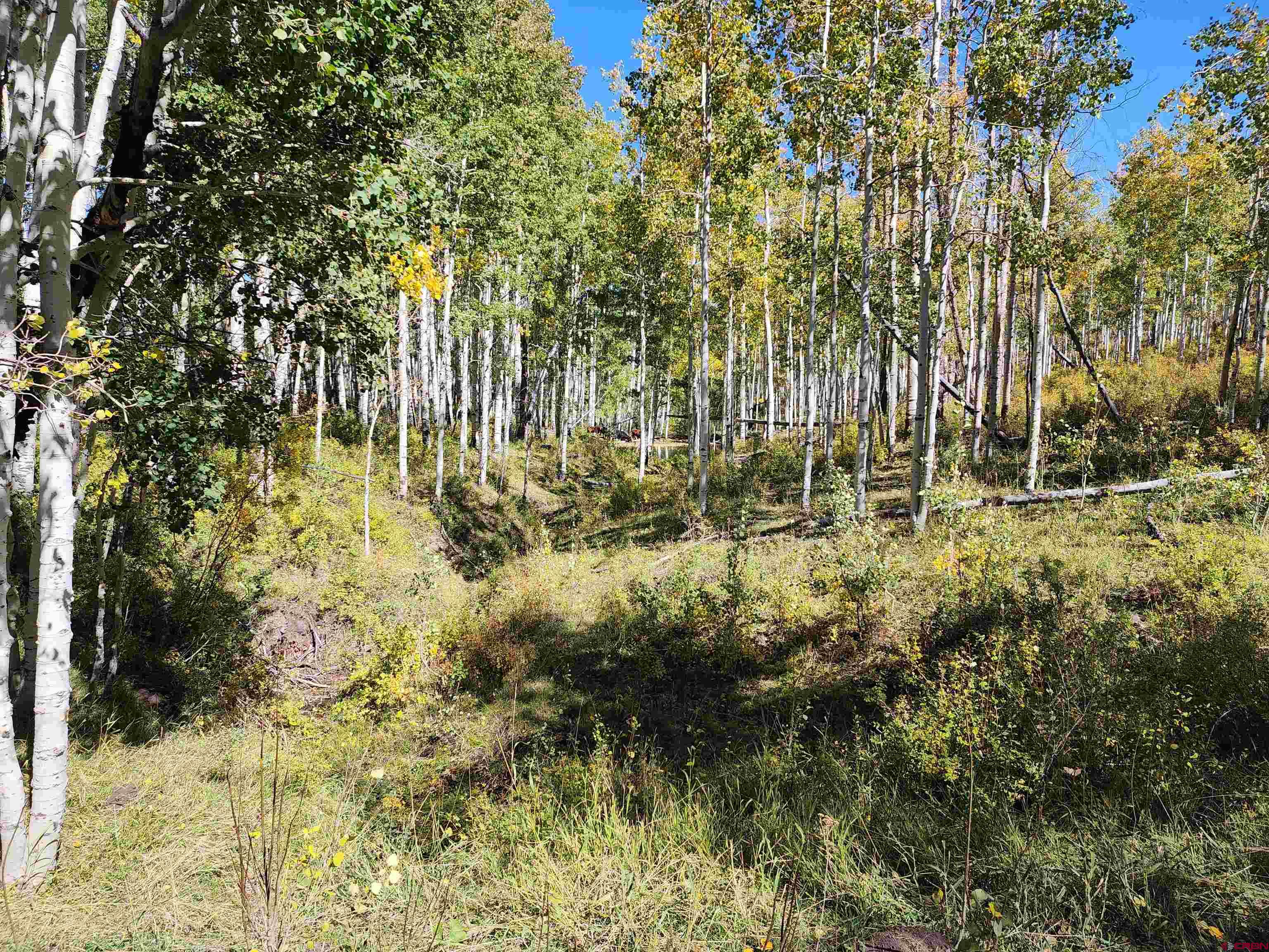 2586 26 1/10 Road Whitewater, CO 81527 - Photo 44 of 45