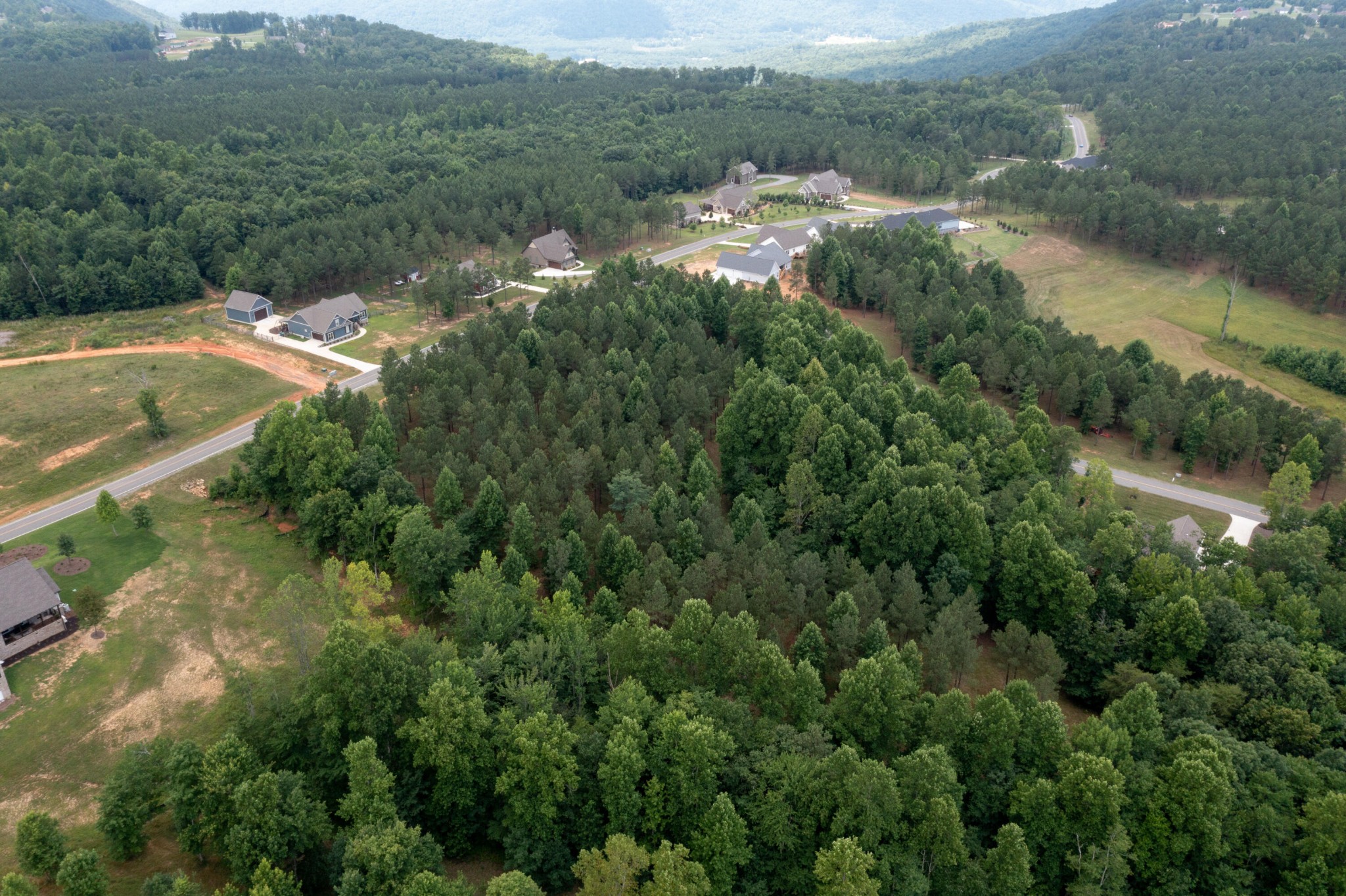 0 Pappy Road Jasper, TN 37347 - Photo 11 of 18
