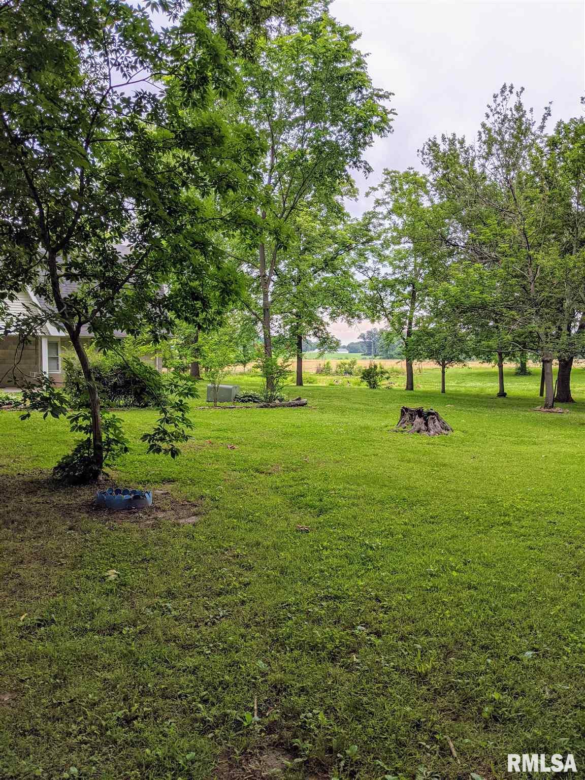 9318 Summers Road Benton, IL 62812 - Photo 3 of 31
