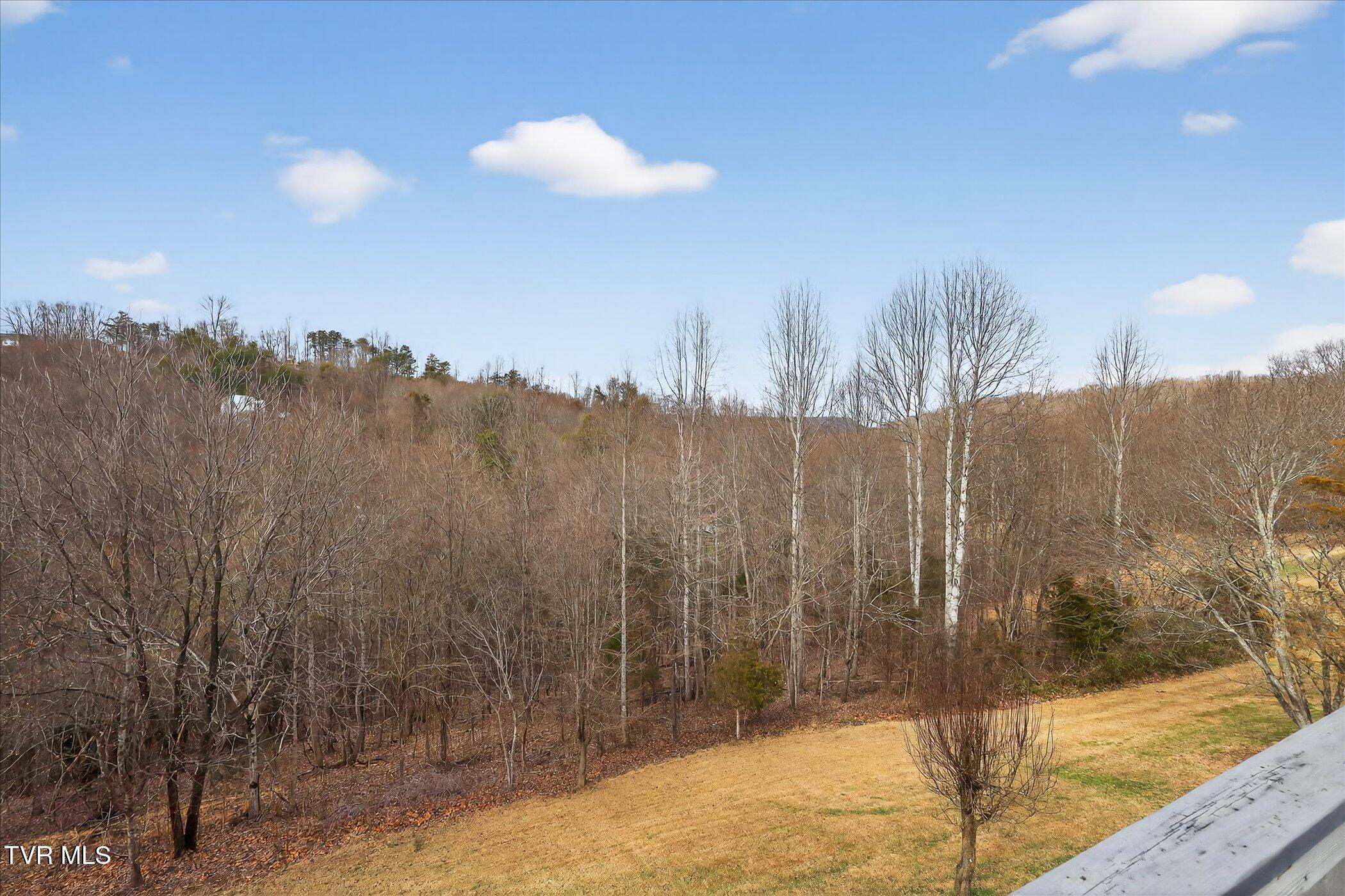 300 Poplar Grove Road Kingsport, TN 37664 - Photo 30 of 34 31-300-Poplar-Grove-Rd-Windowstill