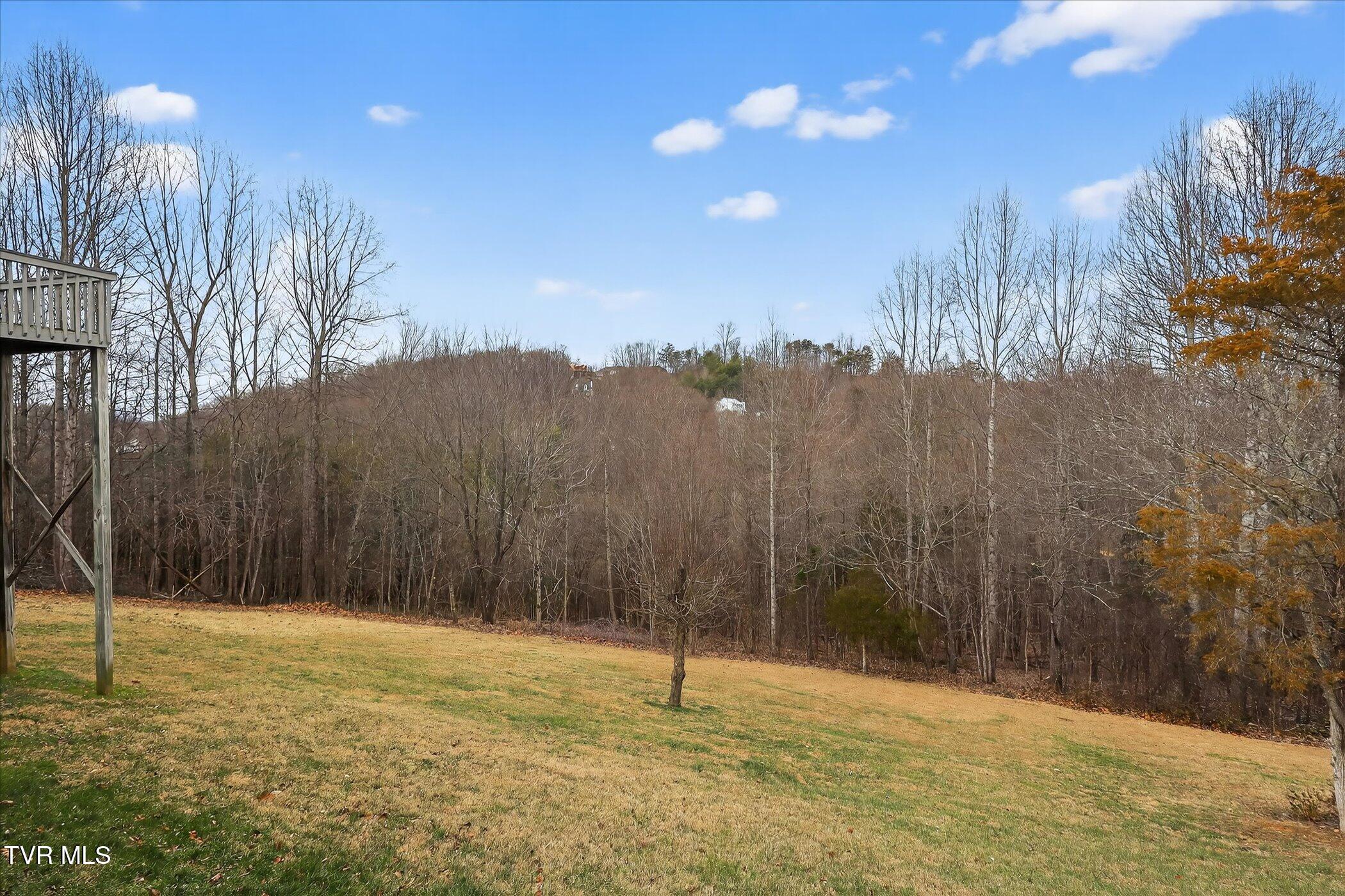 300 Poplar Grove Road Kingsport, TN 37664 - Photo 31 of 34 32-300-Poplar-Grove-Rd-Windowstill