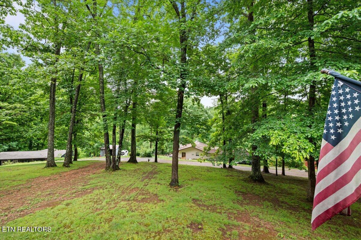 261 Rain Valley Road La Follette, TN 37766 - Photo 35 of 47 36-261 Rain Valley Rd