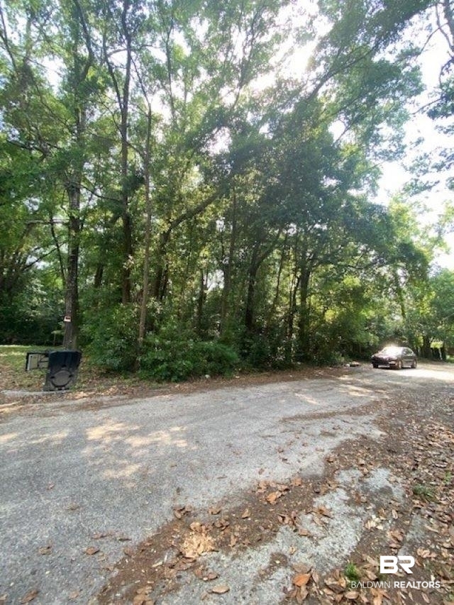 2363 South Riviera Drive Mobile, AL 36605 - Photo 5 of 6