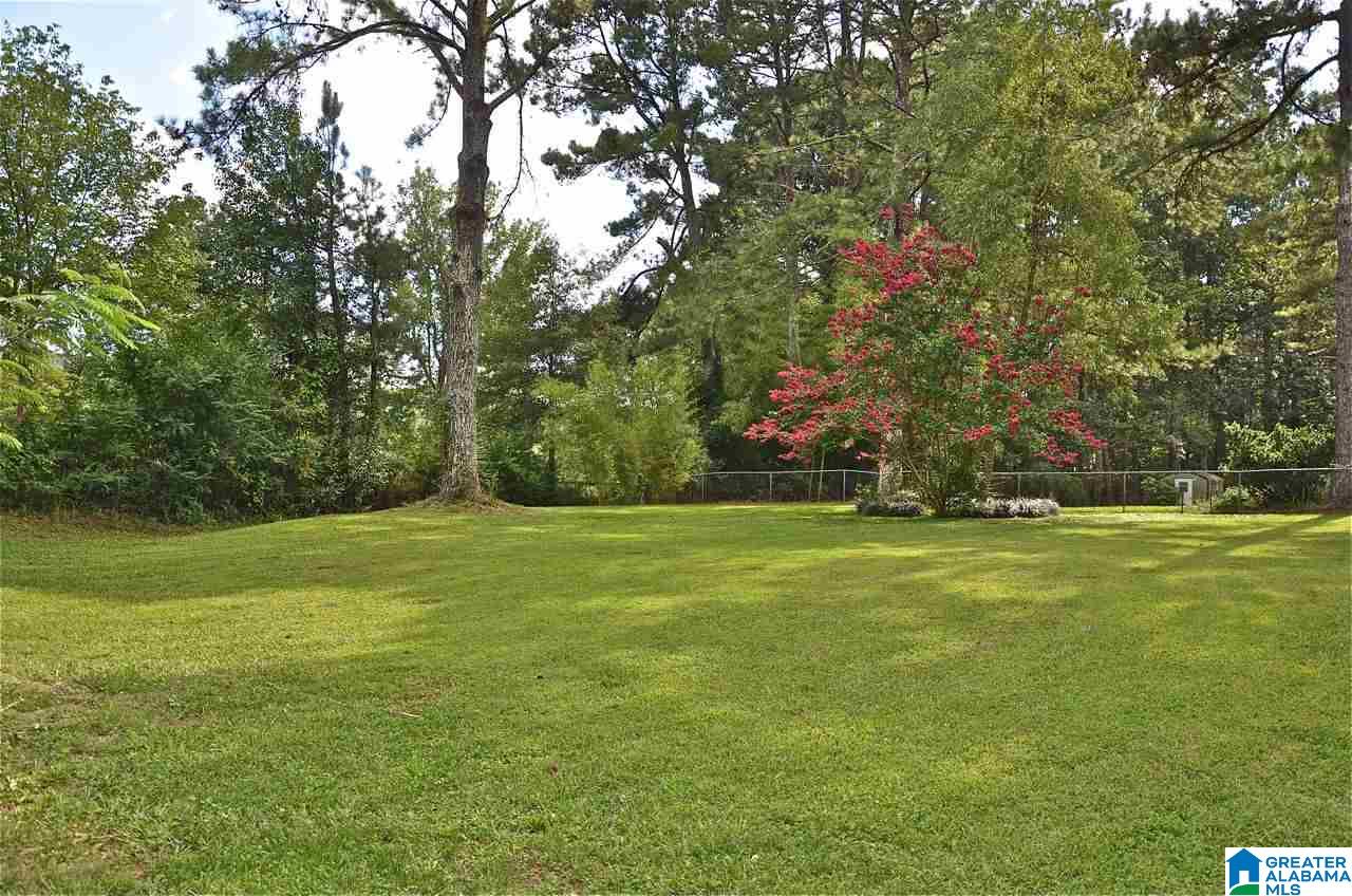 6909 Old Springville Road Trussville, AL 35173 - Photo 35 of 40
