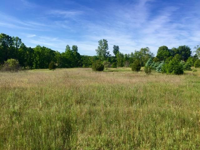 0 Timberhill Parcel N Manchester, MI 48158 - Photo 12 of 14 Photo 12