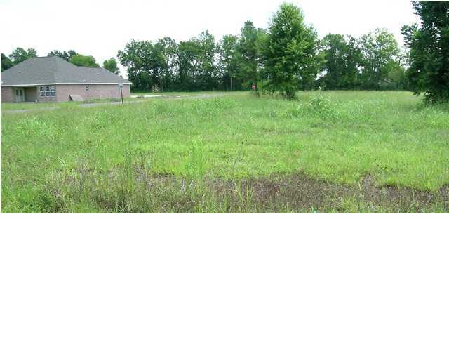 22 Alcide Bonin Road Breaux Bridge, LA 70517 - Photo 2 of 2 Gallery Image 2