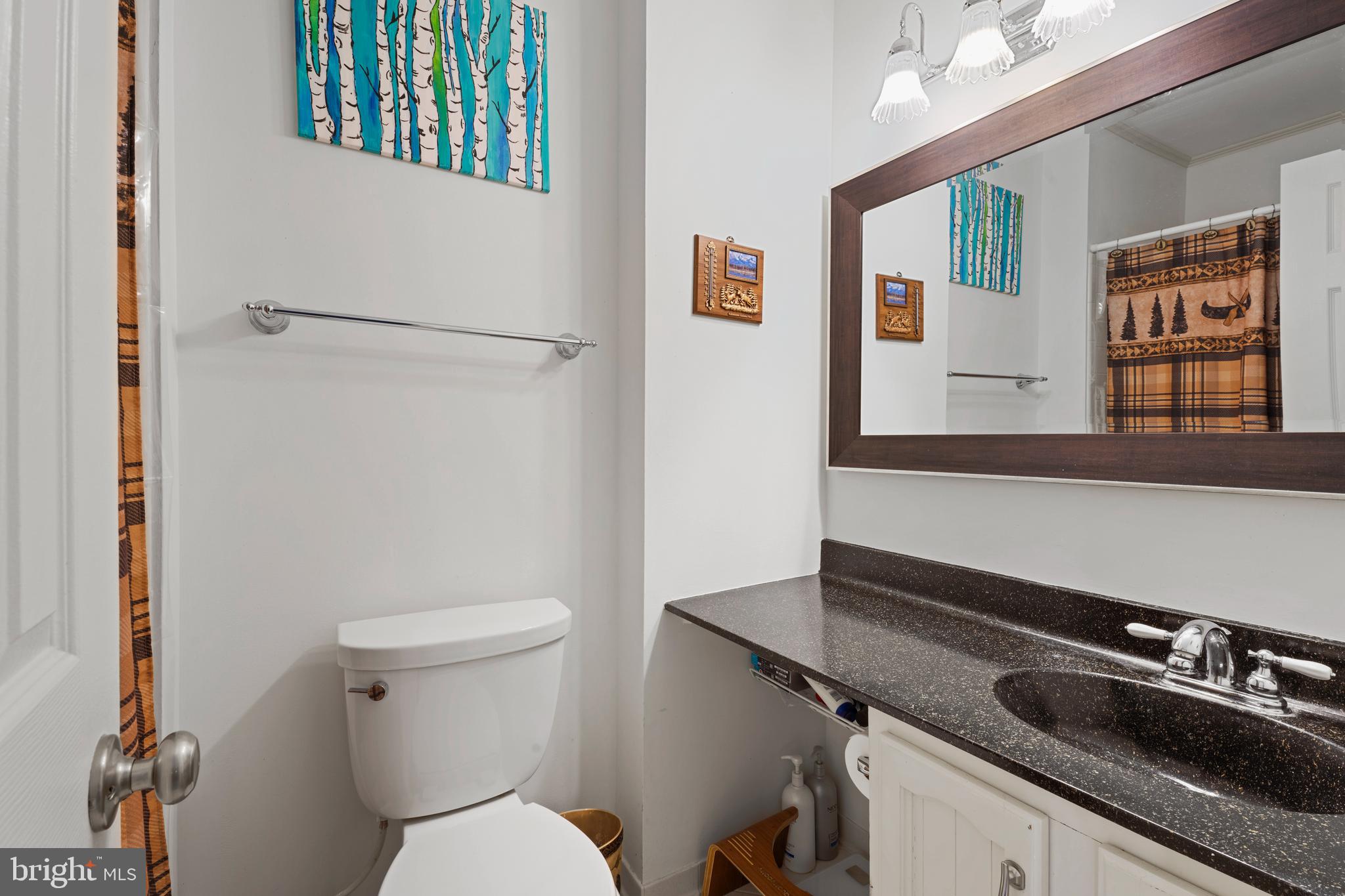 4327 Cub Run Road Chantilly, VA 20151 - Photo 20 of 38