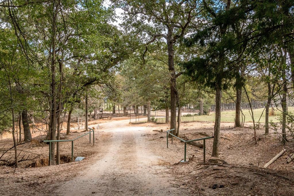 79 West Highway 79 Franklin, TX 77856 - Photo 14 of 38 a view of a park with bench and trees