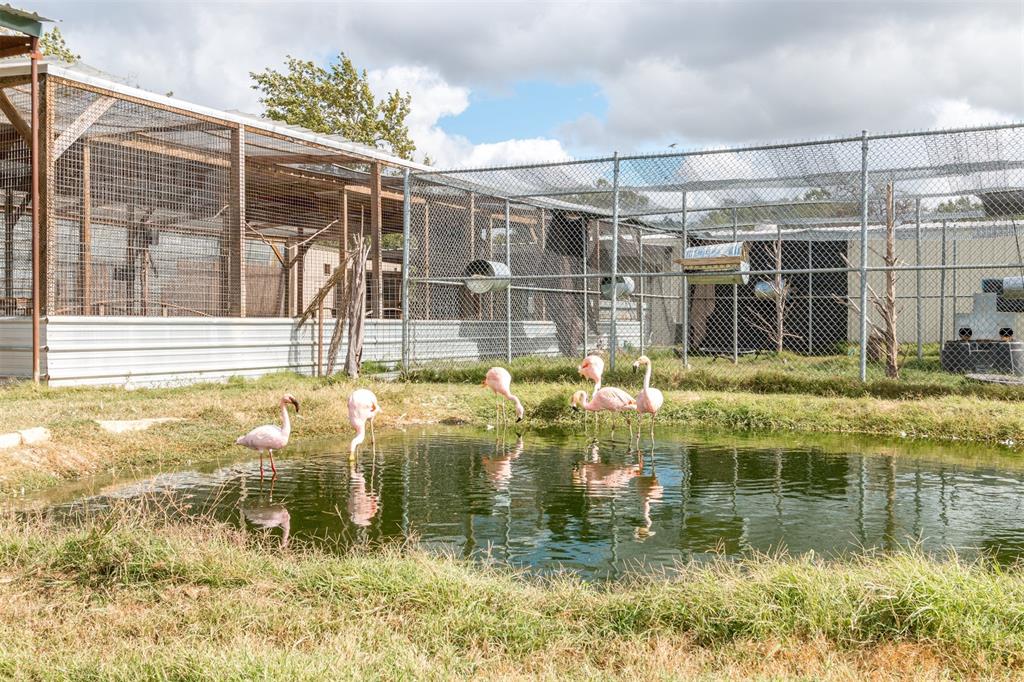 79 West Highway 79 Franklin, TX 77856 - Photo 21 of 38 a view of pool