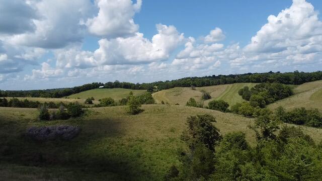 0 East Fork Road Owingsville, KY 40360 - Photo 9 of 20 2025-08-08-15-21-11-514
