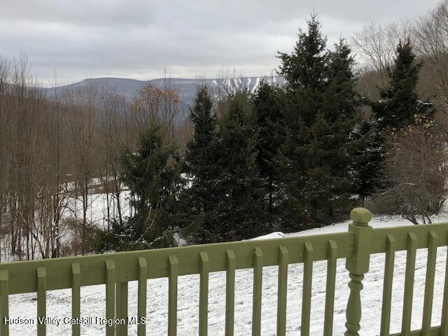 50 Halcott Ridge Road Shandaken, NY 12465 - Photo 5 of 29 snowy ridge