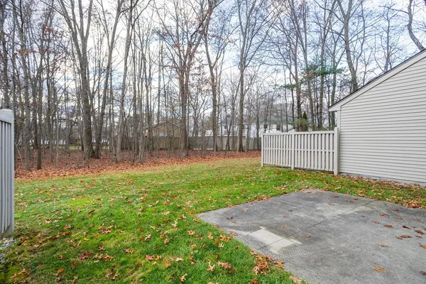 a view of a backyard with large trees