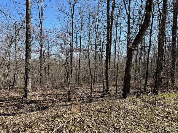 $110,000 | Parcel #3 Lake Road, Silva, MO 63964