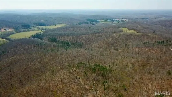 $110,000 | Parcel #3 Lake Road, Silva, MO 63964