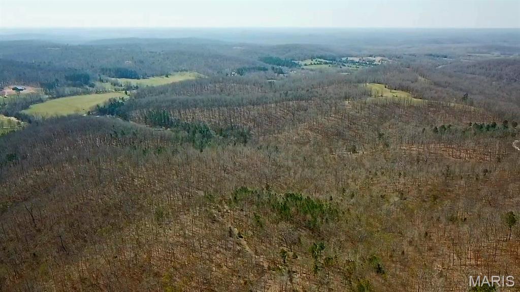 Parcel #3 Lake Road Silva, MO 63964 - Photo 12 of 13