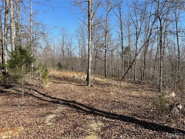 $110,000 | Parcel #3 Lake Road, Silva, MO 63964