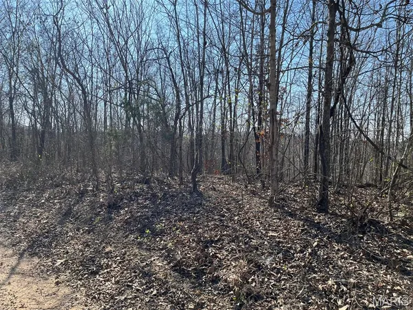 $110,000 | Parcel #3 Lake Road, Silva, MO 63964