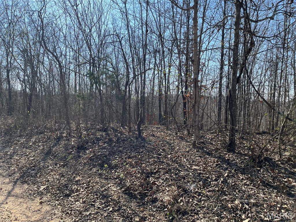 Parcel #3 Lake Road Silva, MO 63964 - Photo 4 of 13