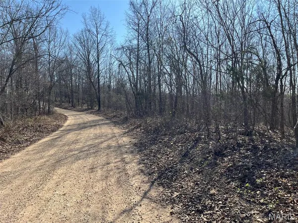 $110,000 | Parcel #3 Lake Road, Silva, MO 63964
