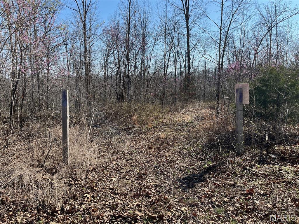 Parcel #3 Lake Road Silva, MO 63964 - Photo 6 of 13