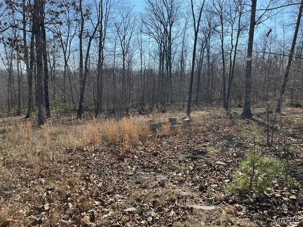 $110,000 | Parcel #3 Lake Road, Silva, MO 63964