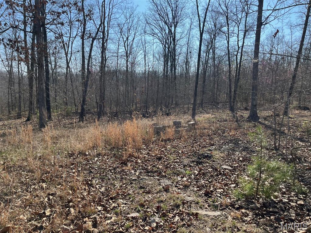 Parcel #3 Lake Road Silva, MO 63964 - Photo 7 of 13