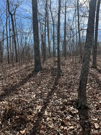 $110,000 | Parcel #3 Lake Road, Silva, MO 63964