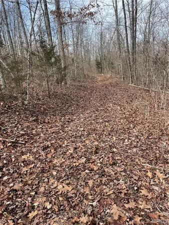 $110,000 | Parcel #3 Lake Road, Silva, MO 63964