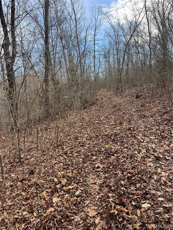 $110,000 | Parcel #3 Lake Road, Silva, MO 63964