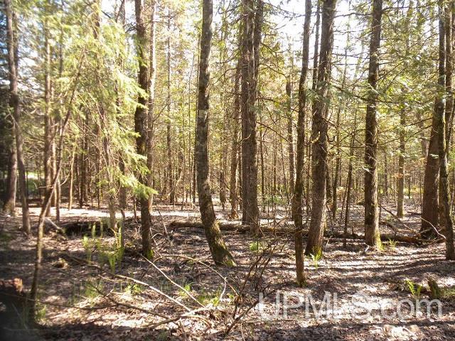 Tbd Clement Road Saxon, WI 54559 - Photo 22 of 34