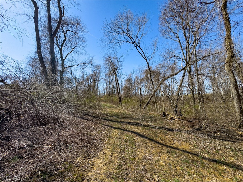 0 Lonesome Road Thornville, OH 43076 - Photo 20 of 31