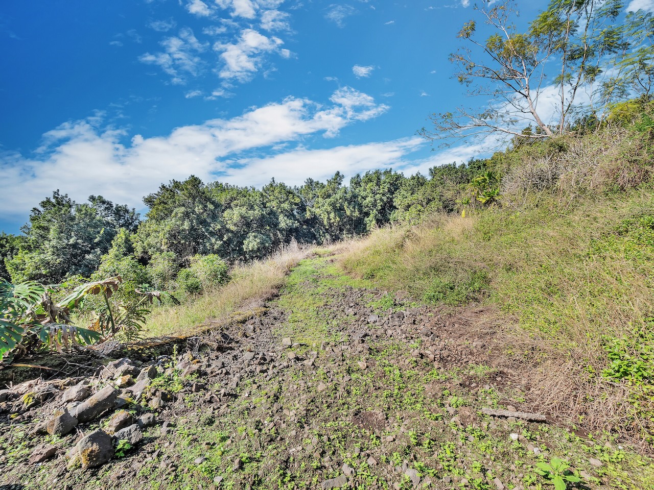 83-5621 Hawaii Belt Road Captain Cook, HI 96704 - Photo 19 of 28 Gallery Image 19