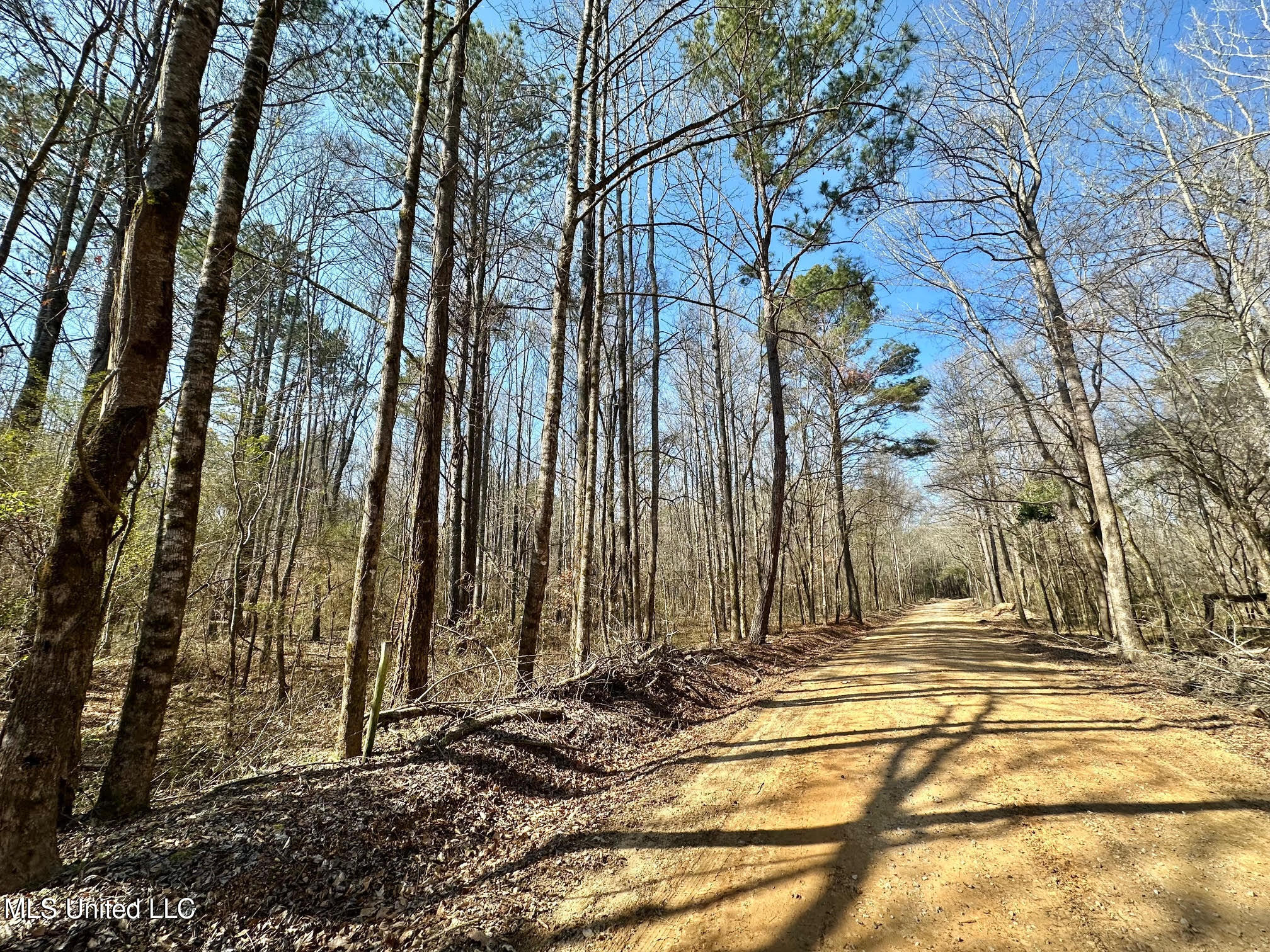 1 Evans Road Carthage, MS 39051 - Photo 24 of 149 41