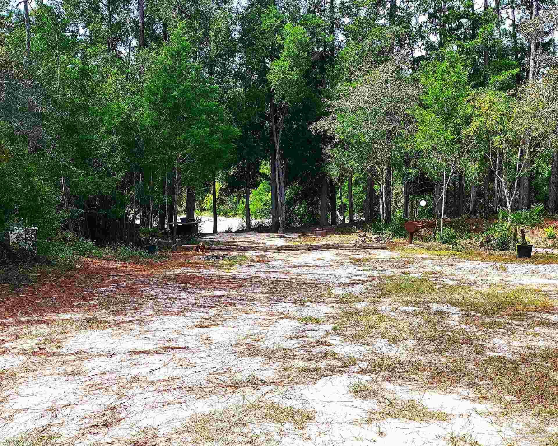 0 Christmas Tree Road Milton, FL 32570 - Photo 12 of 22 Gallery Image 12