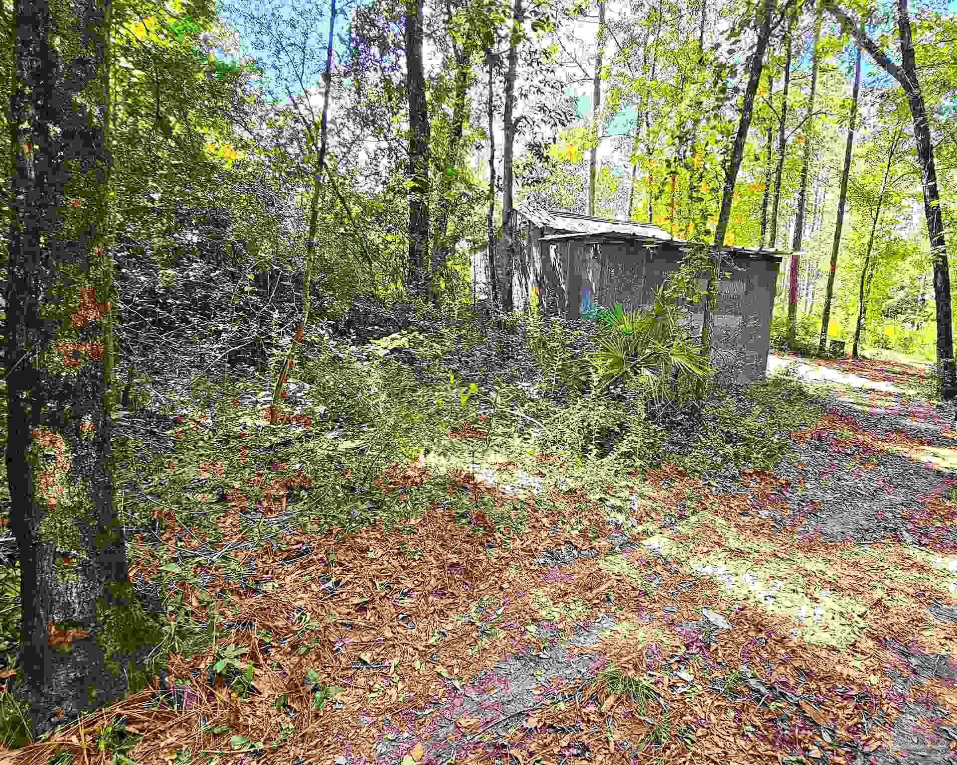 0 Christmas Tree Road Milton, FL 32570 - Photo 18 of 22 Gallery Image 18