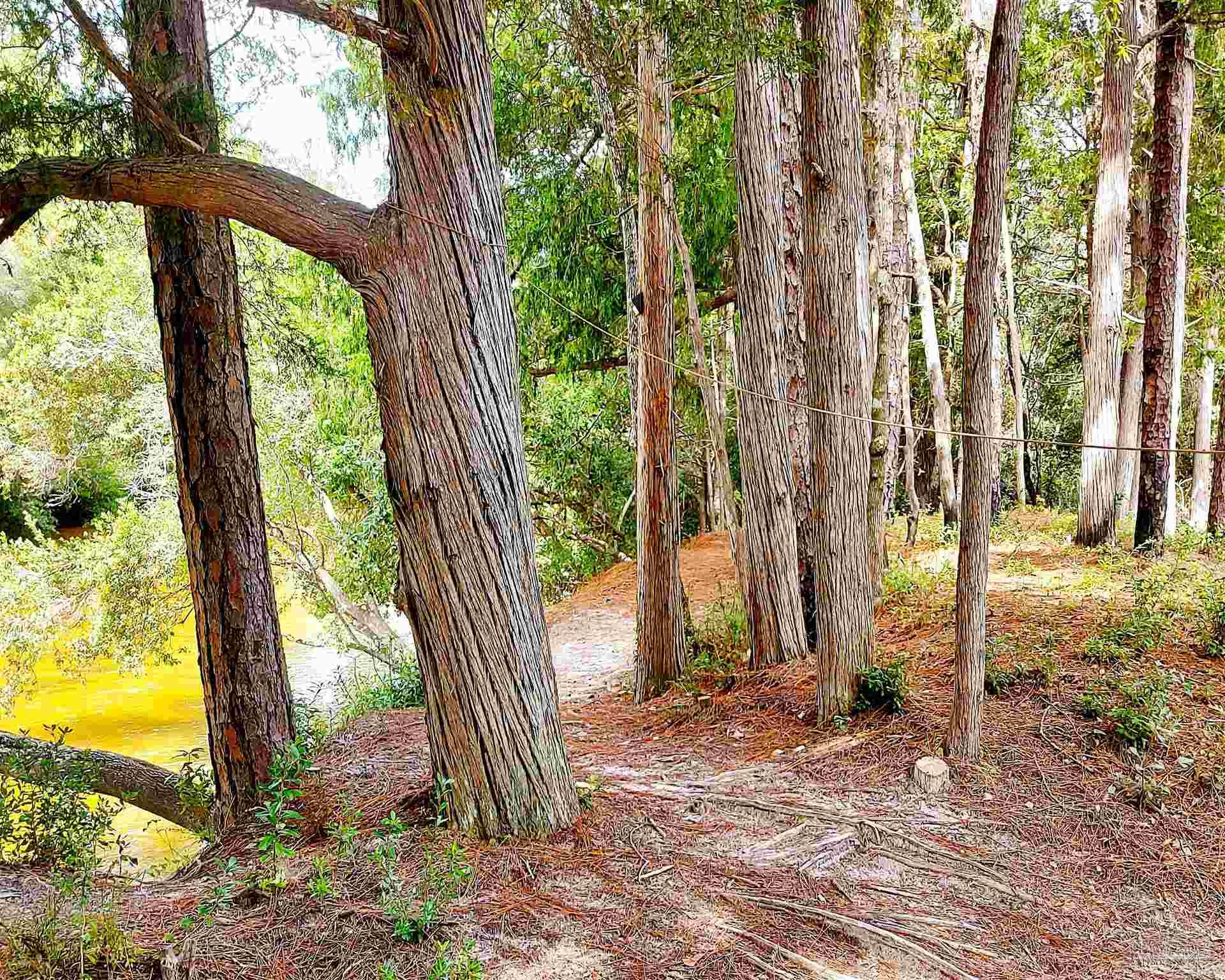 0 Christmas Tree Road Milton, FL 32570 - Photo 8 of 22 Gallery Image 8