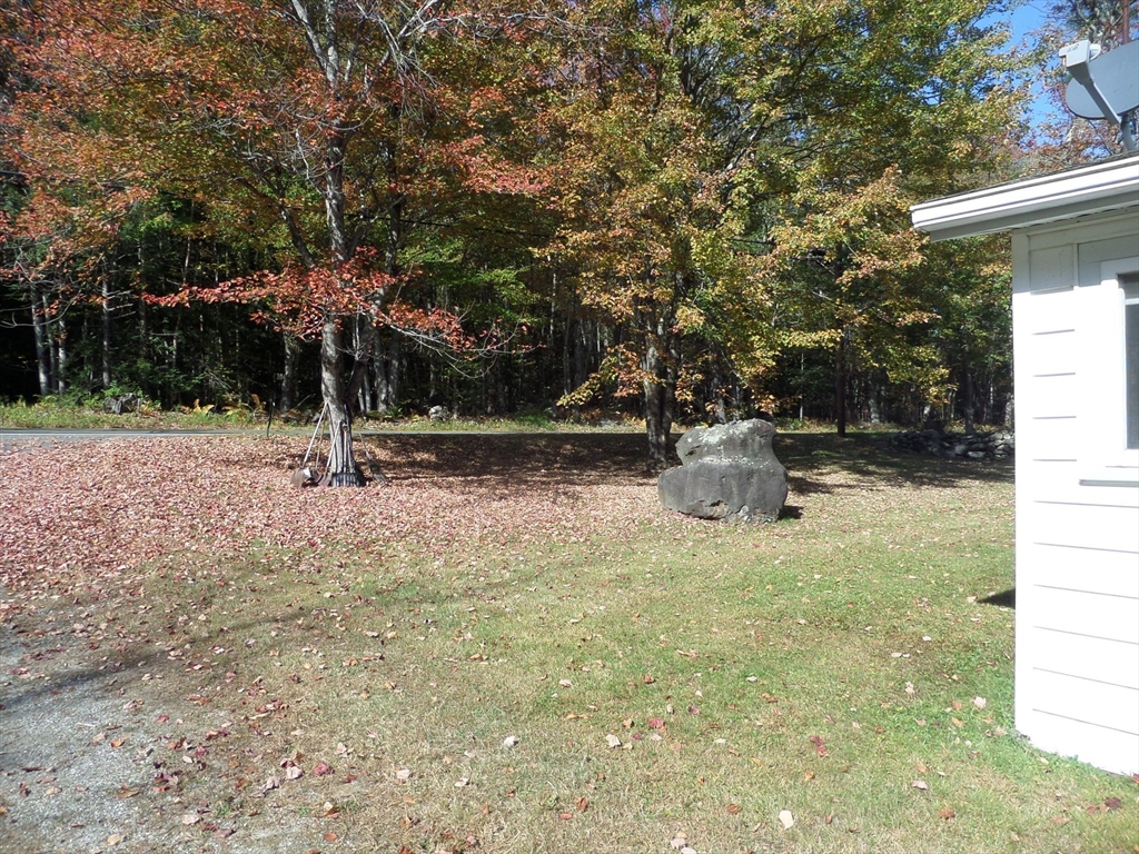 204 Ireland Street Chesterfield, MA 01084 - Photo 9 of 25 a backyard of a house with barbeque oven