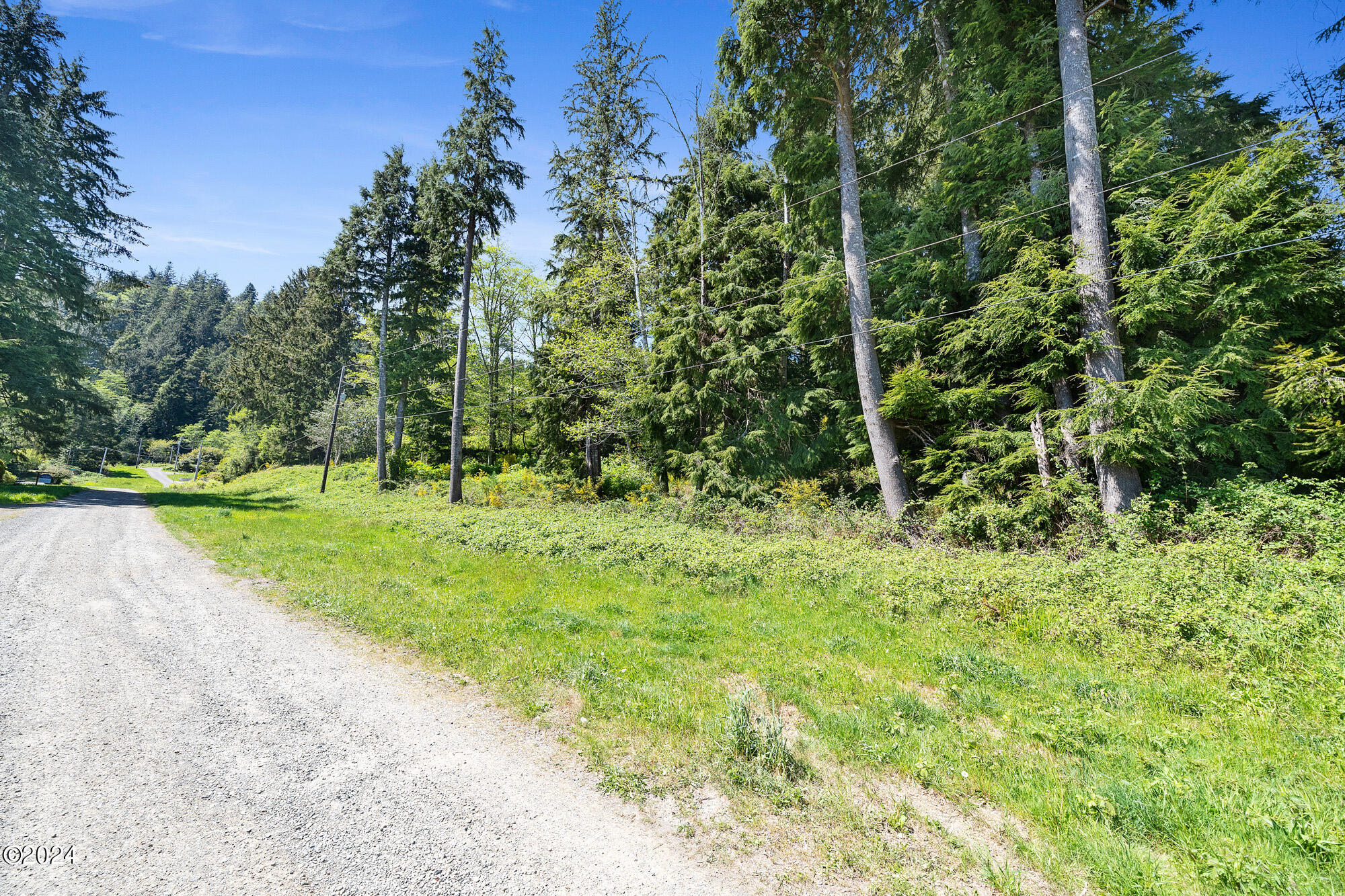 2 Fir Avenue Tillamook, OR 97141 - Photo 6 of 15 Ginger Street View