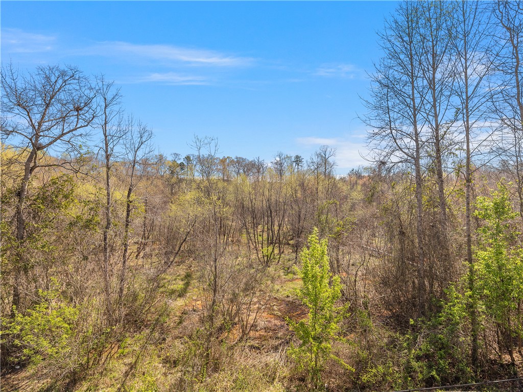 2520 Linmar Circle Anderson, SC 29621 - Photo 36 of 50 A natural panorama of dense woodland offers a peaceful, private setting.