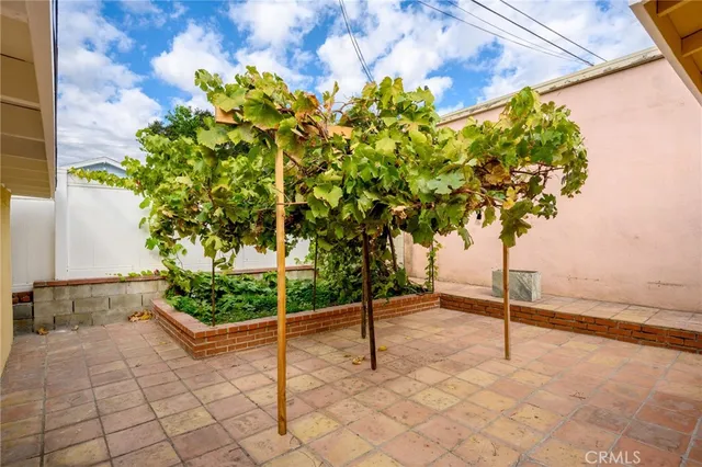 a view of a backyard