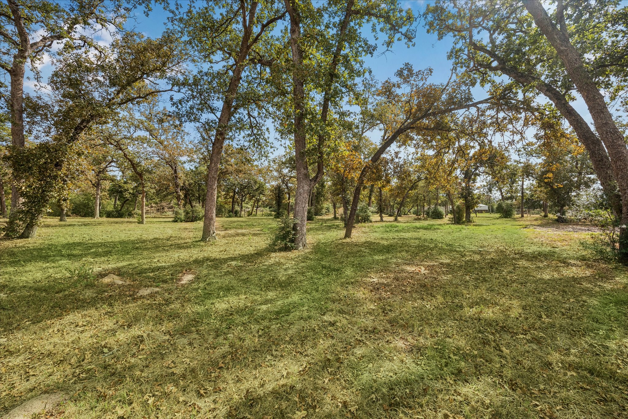 6618 Stokes Road Bellville, TX 77418 - Photo 11 of 21 a view of yard with trees