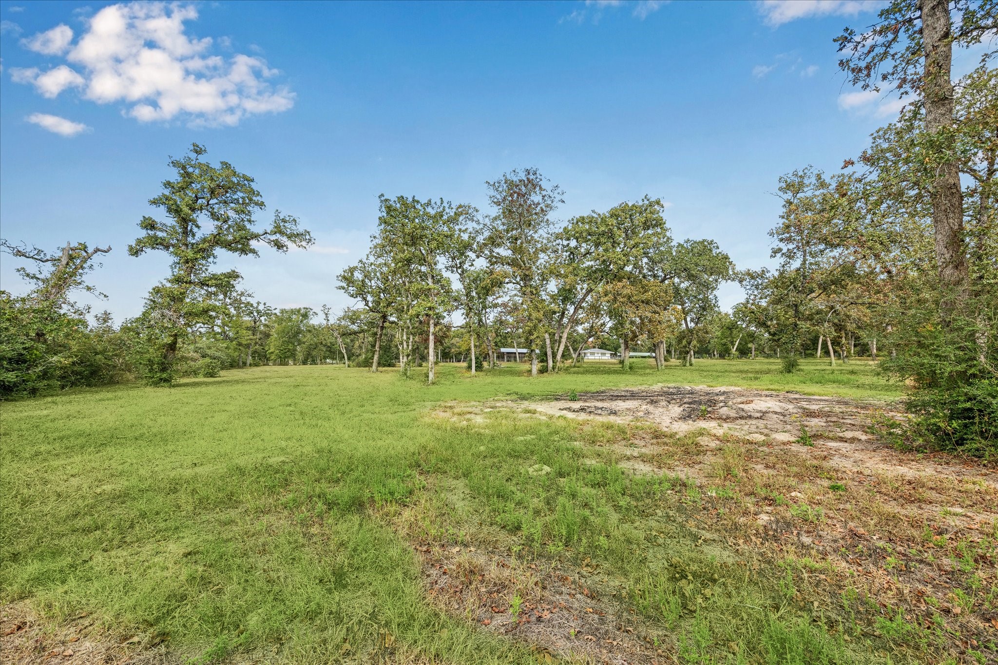 6618 Stokes Road Bellville, TX 77418 - Photo 9 of 21 a view of a field of grass and trees