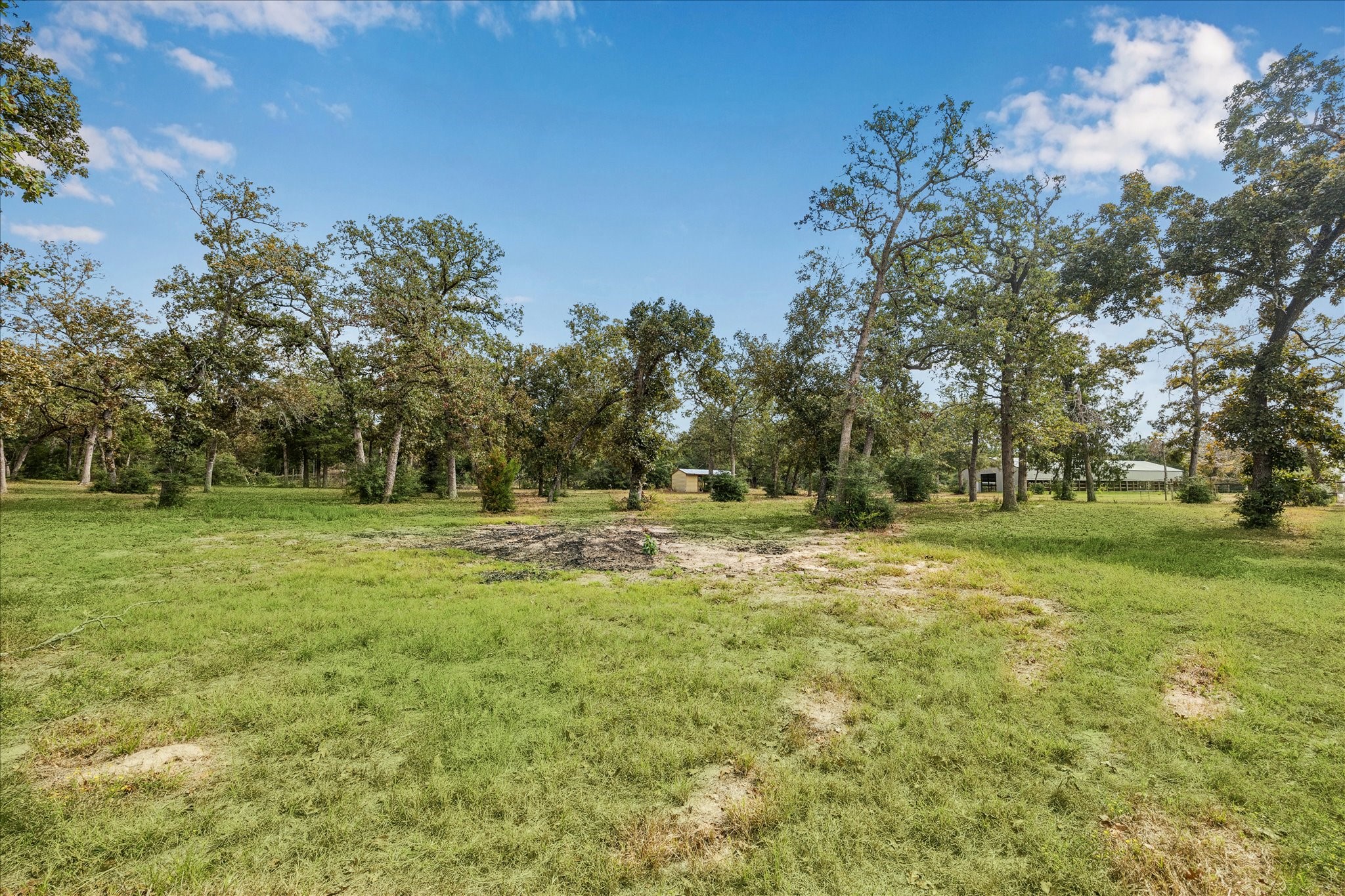 6618 Stokes Road Bellville, TX 77418 - Photo 10 of 21 a view of field with trees