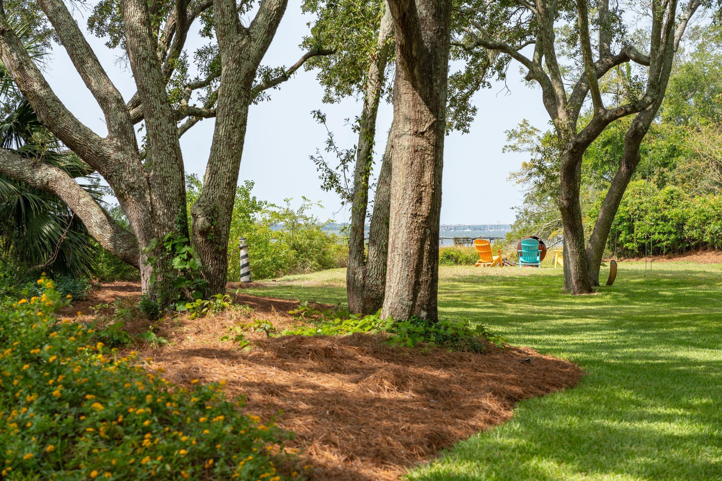 673 Wampler Drive Charleston, SC 29412 - Photo 39 of 47 Grand Oak Trees