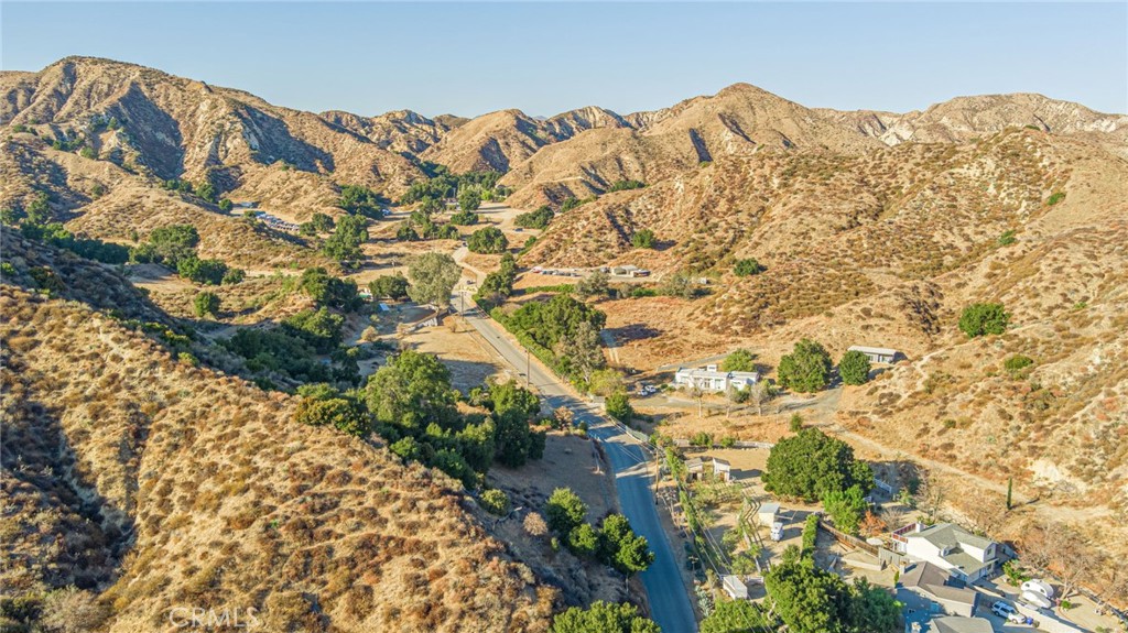 31400 San Martinez Road Castaic, CA 91384 - Photo 14 of 25 a view of a large tree