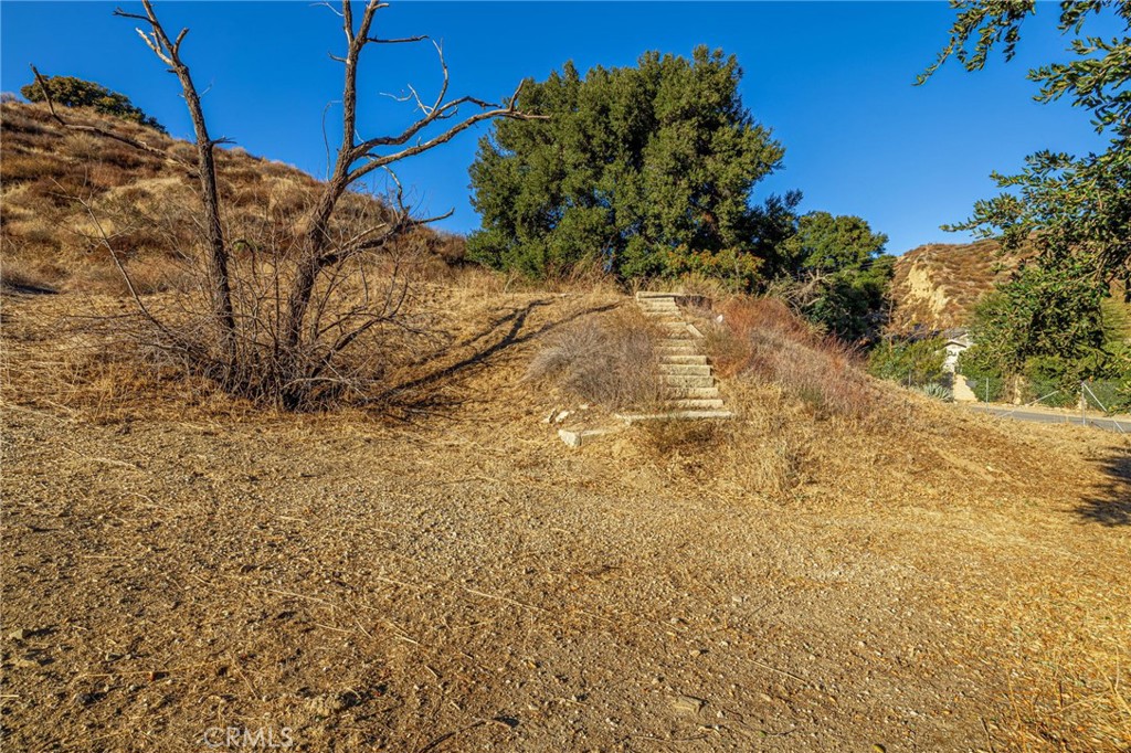 31400 San Martinez Road Castaic, CA 91384 - Photo 19 of 25 a view of a yard with plants